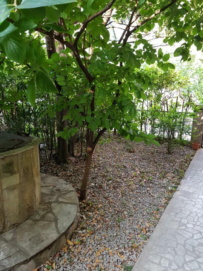 The Quiet Garden Guest house